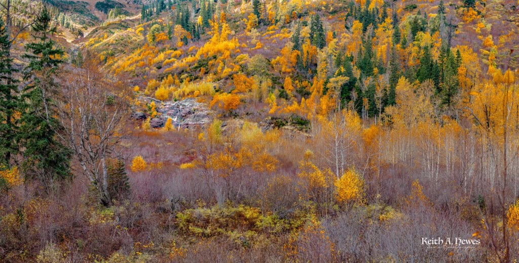 Glacier National Park Fall Colors 2024.